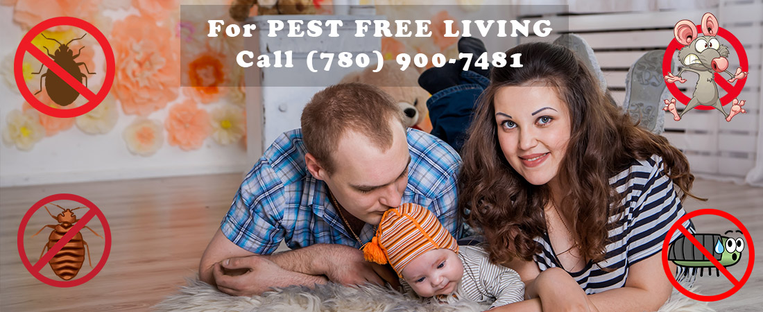 Sherwood Park Pest Control Company