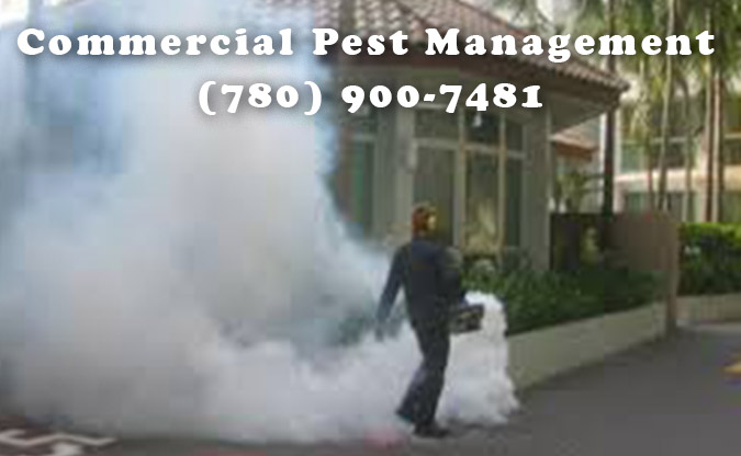 pest-management-solution-business